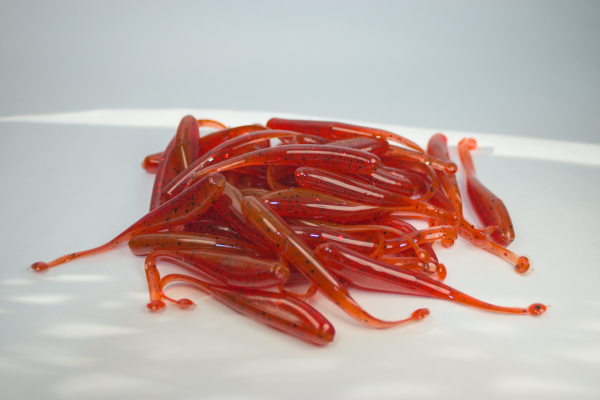 3" Disc Tail Minnow - Image 3